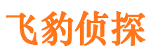 长安侦探公司